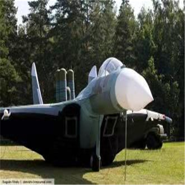 龙子湖充气模型飞机制造商家